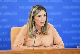 Así lo ha anunciado este miércoles la portavoz del Grupo Socialista, María Márquez, en una rueda de prensa en el Parlamento