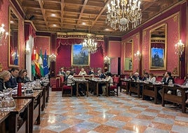 Pleno de Granada.