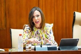 La consejera de Fomento, Articulación del Territorio y Vivienda, Rocío Díaz.