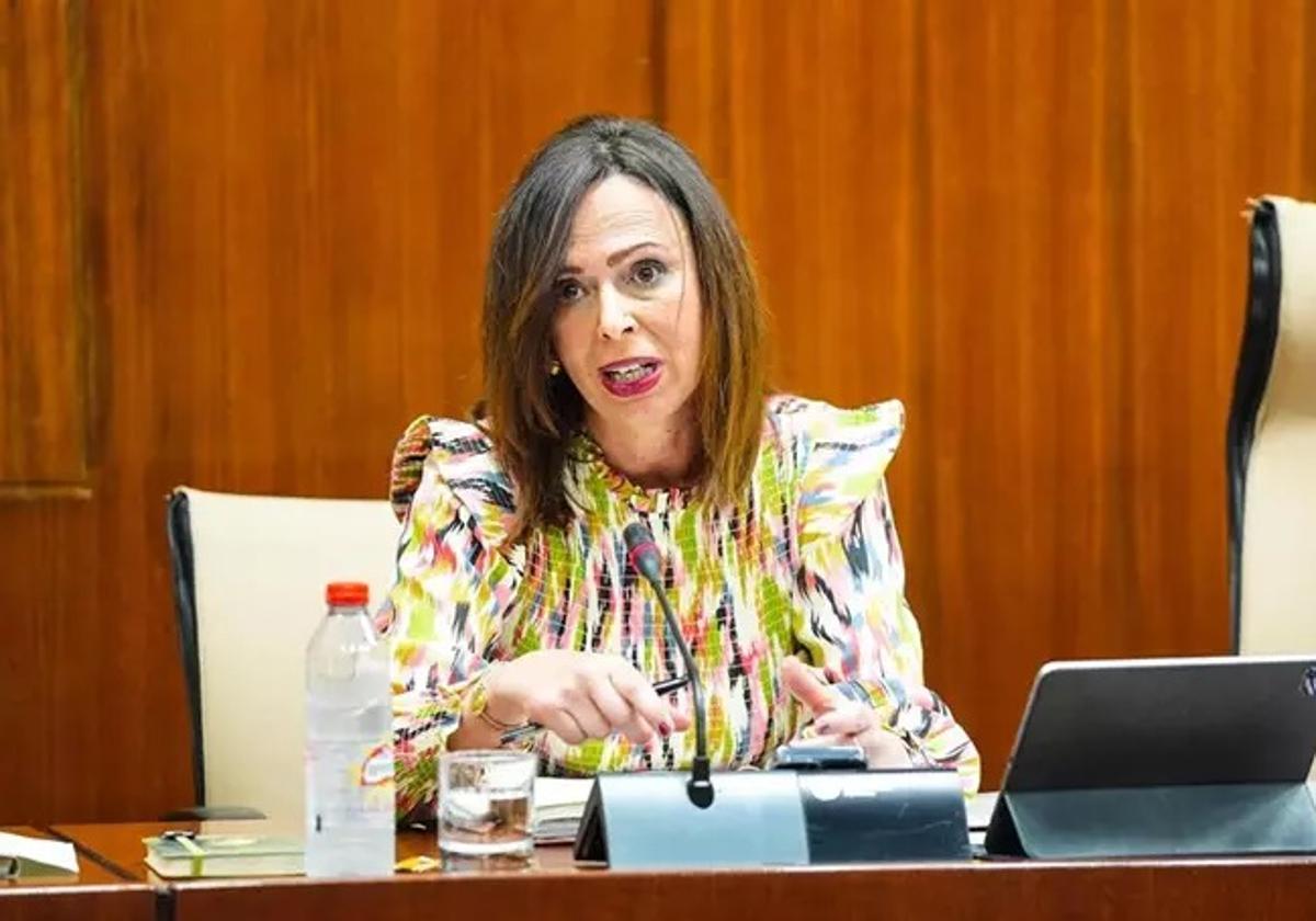 La consejera de Fomento, Articulación del Territorio y Vivienda, Rocío Díaz.