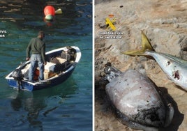 La Guardia Civil atrapa sorprende a dos pescadores furtivos en la Punta de la Mona.