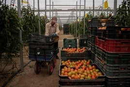 ¿Por qué el paro bajó tanto en mayo en Almería?