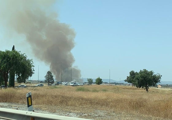 Incendio en un descampado de Ogíjares