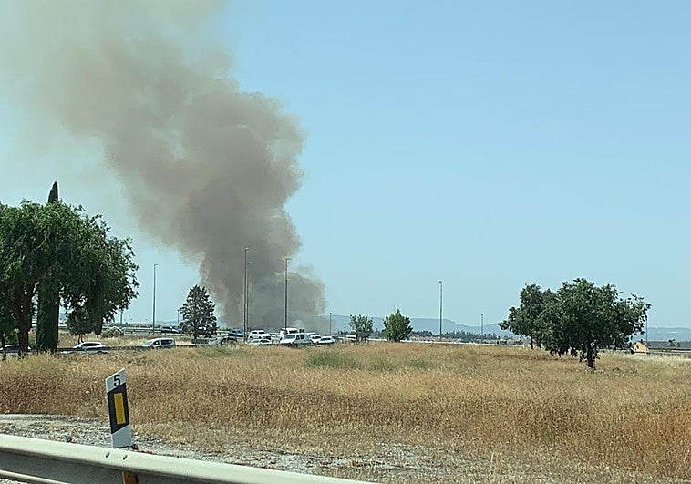 Incendio en un descampado de Ogíjares