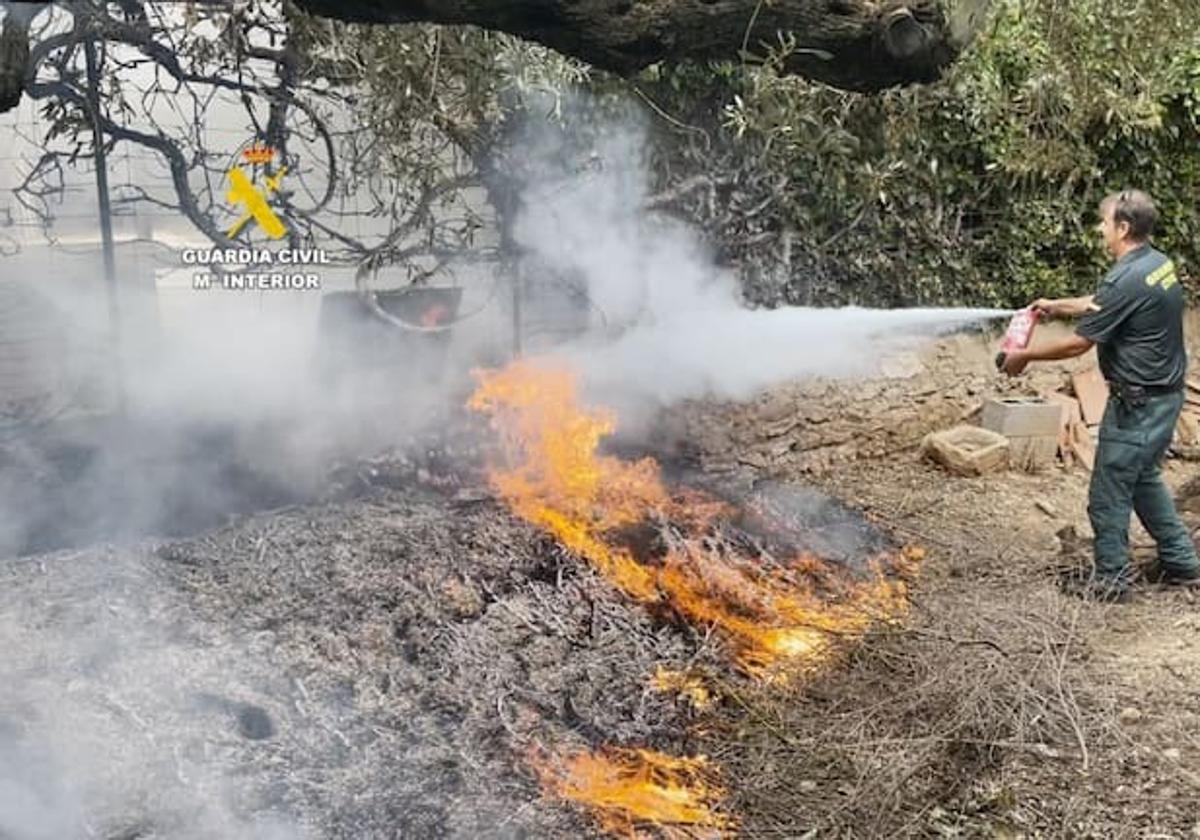 La Guardia Civil evita la muerte de decenas de animales en un hotel rural