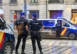Tira al suelo a una mujer, la arrastra varios metros para robarle el bolso y le provoca abrasiones en las rodillas