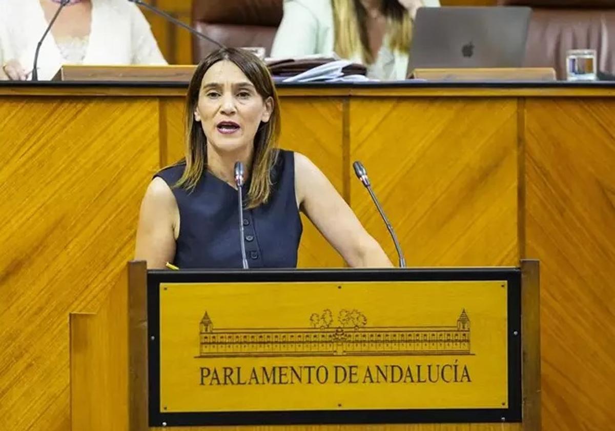La diputada socialista Olga Manzano, en una foto de archivo en el Pleno del Parlamento.