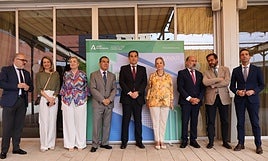 Así lo ha manifestado Ana Tárrago a preguntas de los periodistas en una atención a medios junto al consejero de Justicia, Administración Local y Función Pública de la Junta de Andalucía, José Antonio Nieto.