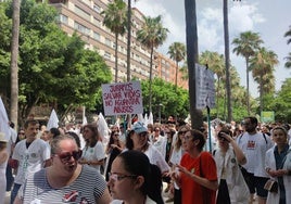 Cerca de 700 médicos se manifiestan en Almería contra el nuevo Estatuto Marco del Ministerio de Sanidad