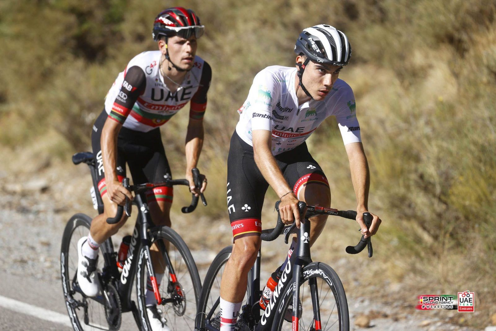 Joao Almeida y Juan Ayuso, 'dos gallitos' juntos en el UAE Emirates.