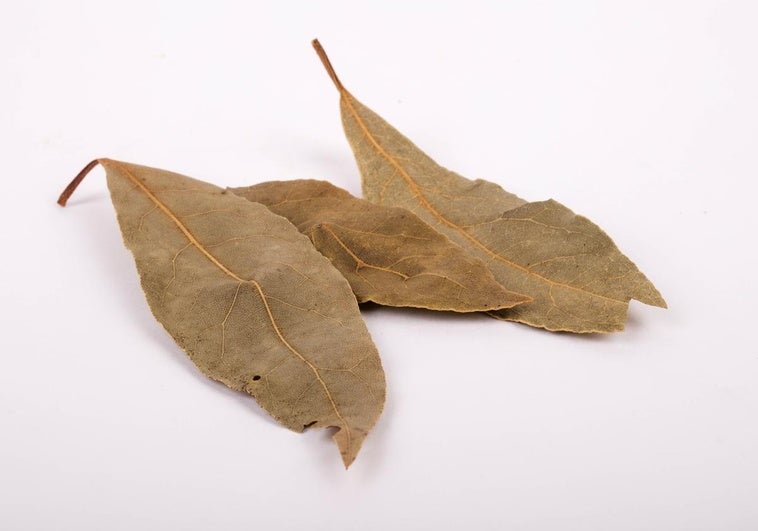 El truco de la hoja de laurel para evitar la proliferación de cucarachas