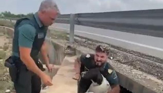 Rescate del perro en una acequia de Valencia.