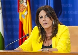 La portavoz adjunta del Grupo Parlamentario Socialista, Ángeles Férriz.