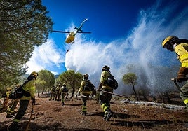 Más de 23.300 personas viven en zonas con riesgo de incendio forestal en Granada capital