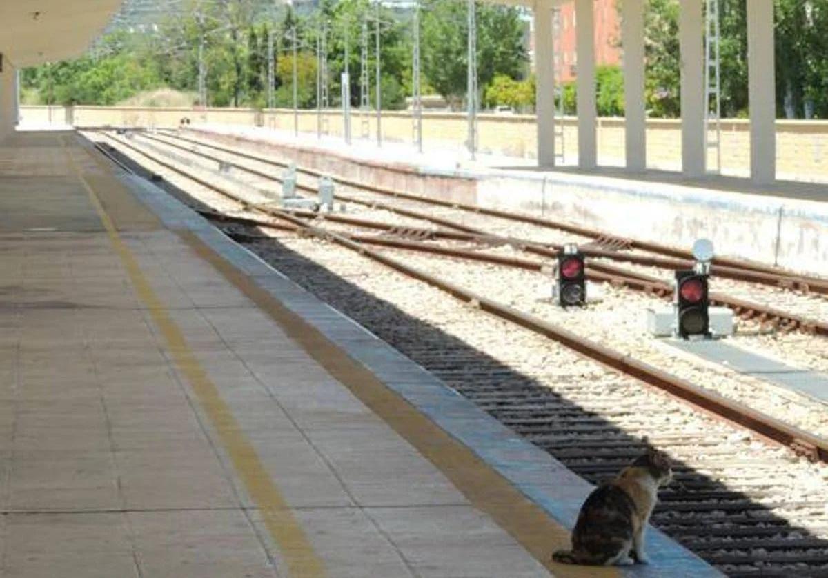 Circulación ferroviaria interrumpida en Jabalquinto por la...