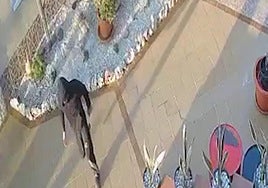 Uno de los presuntos autores del robo con violencia.