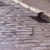 Imagen de una rata en la calle Jesús y María