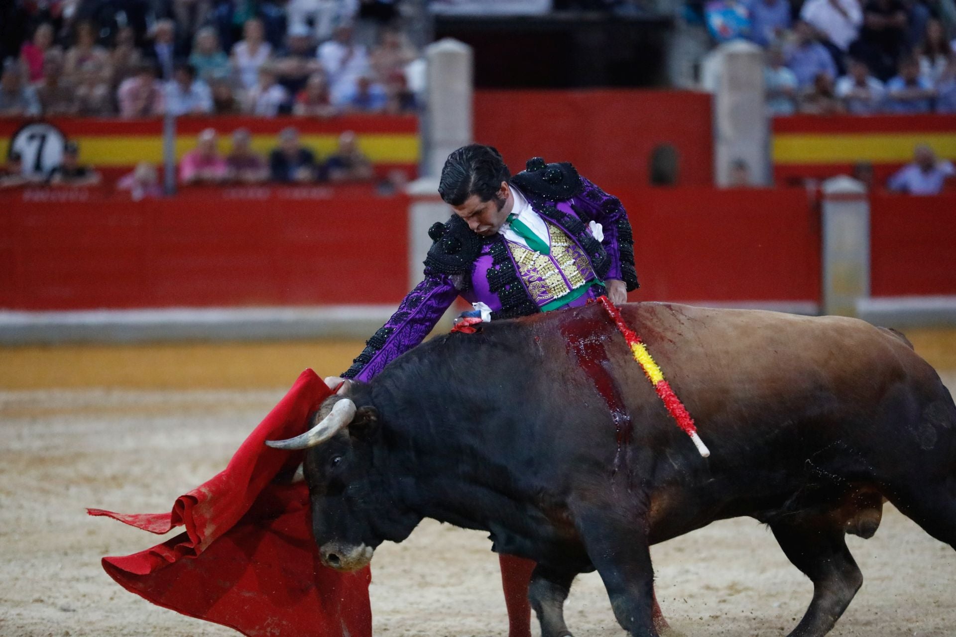 Las mejores imágenes del viernes de Corpus en la Plaza de Toros de Granada