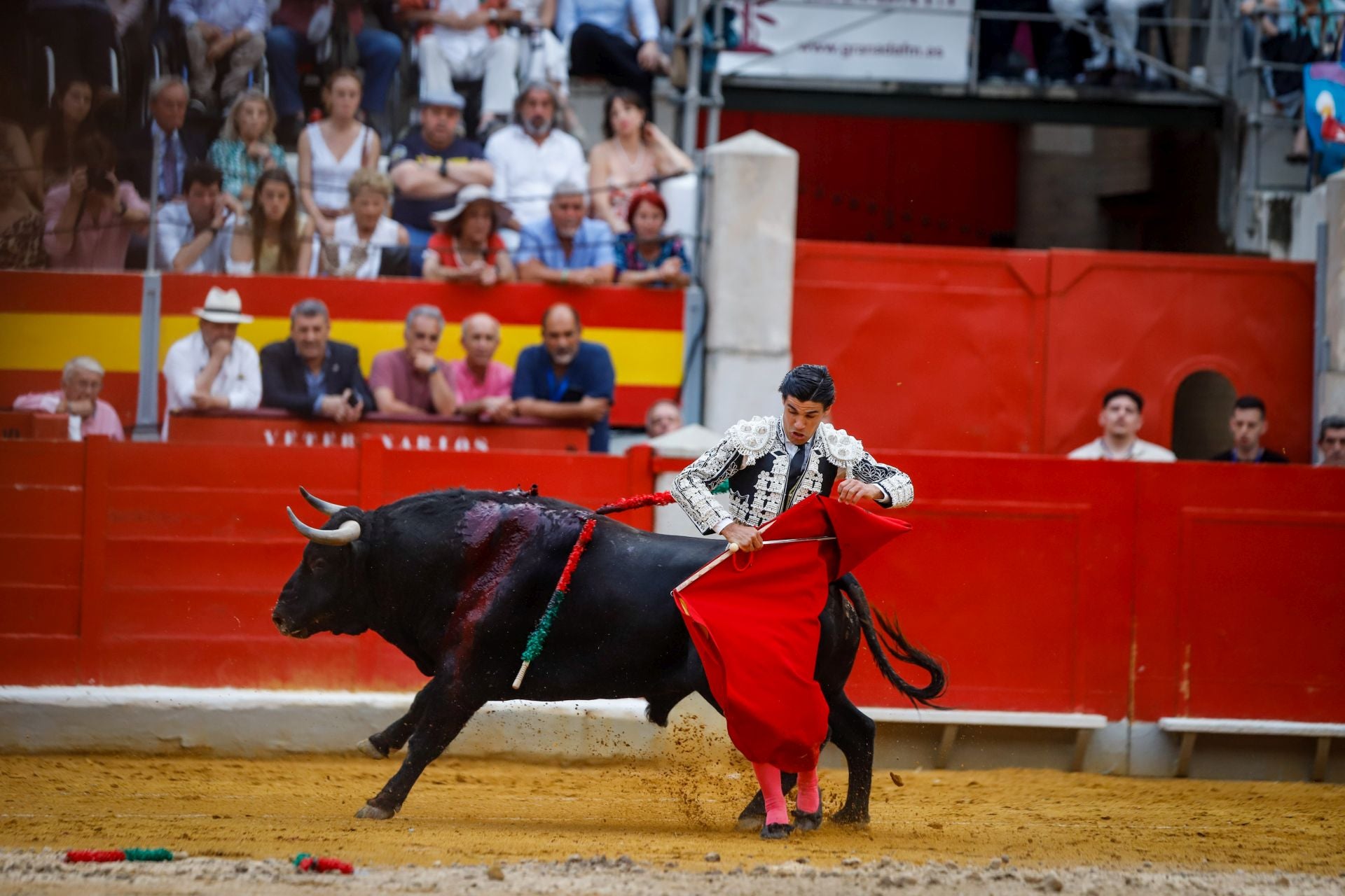 Las mejores imágenes del viernes de Corpus en la Plaza de Toros de Granada