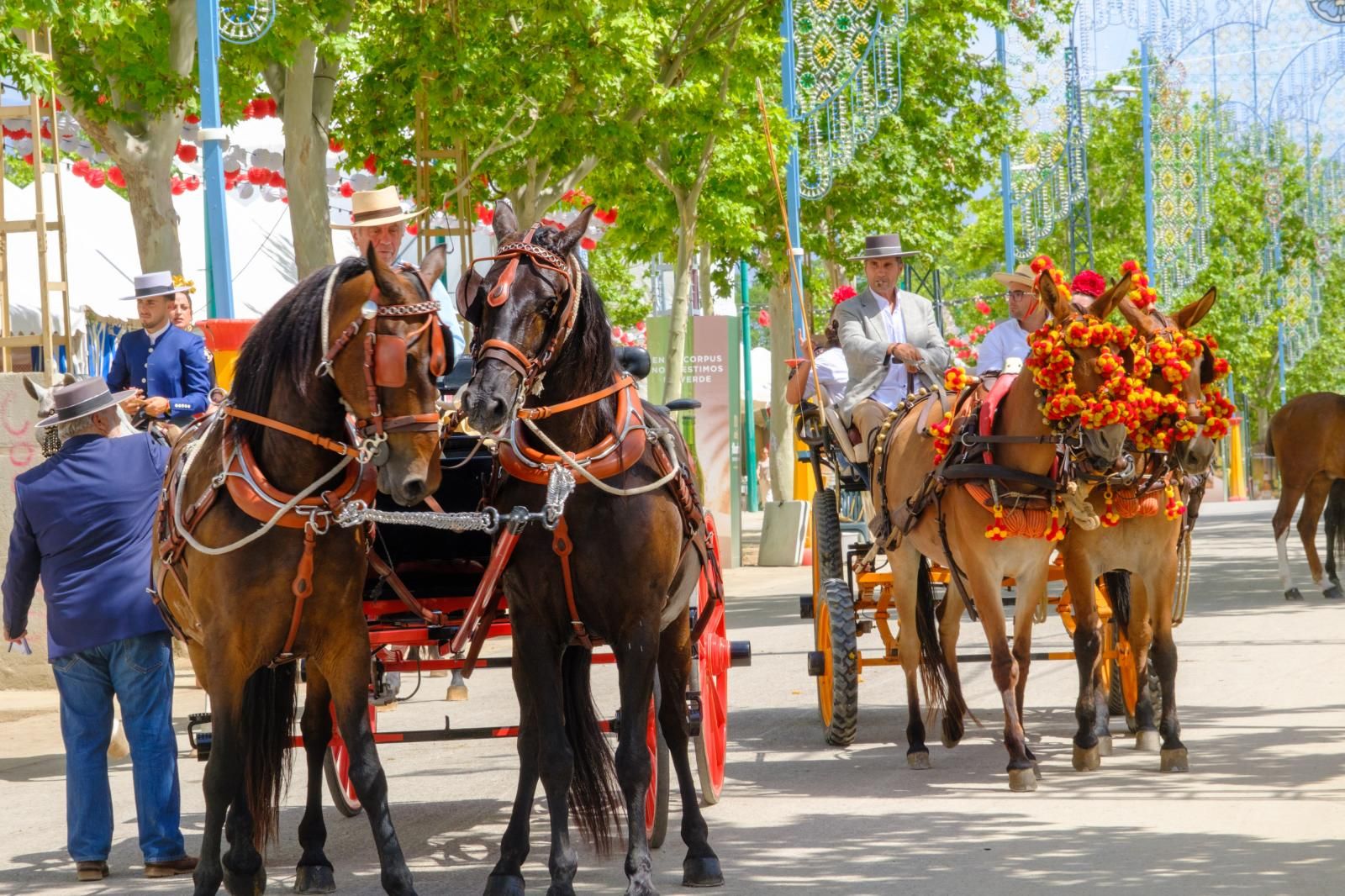 La exhibición de enganches en el ferial de Granada, en imágenes