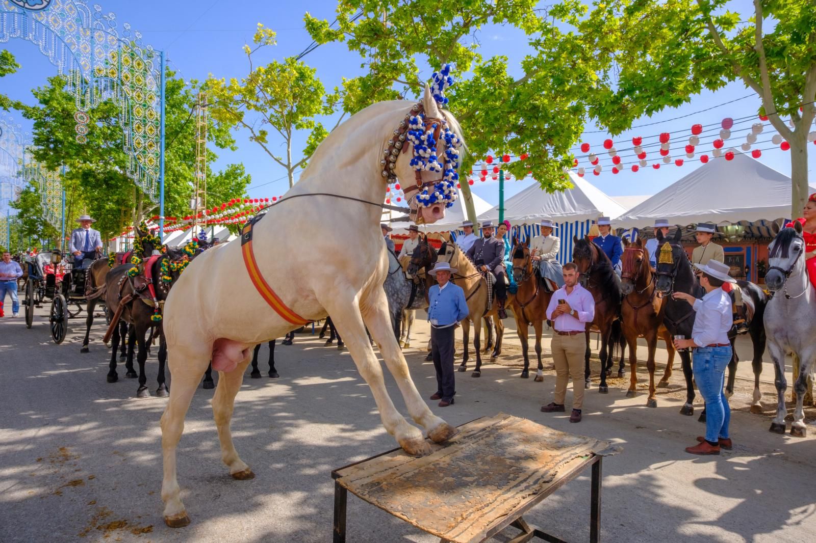 La exhibición de enganches en el ferial de Granada, en imágenes