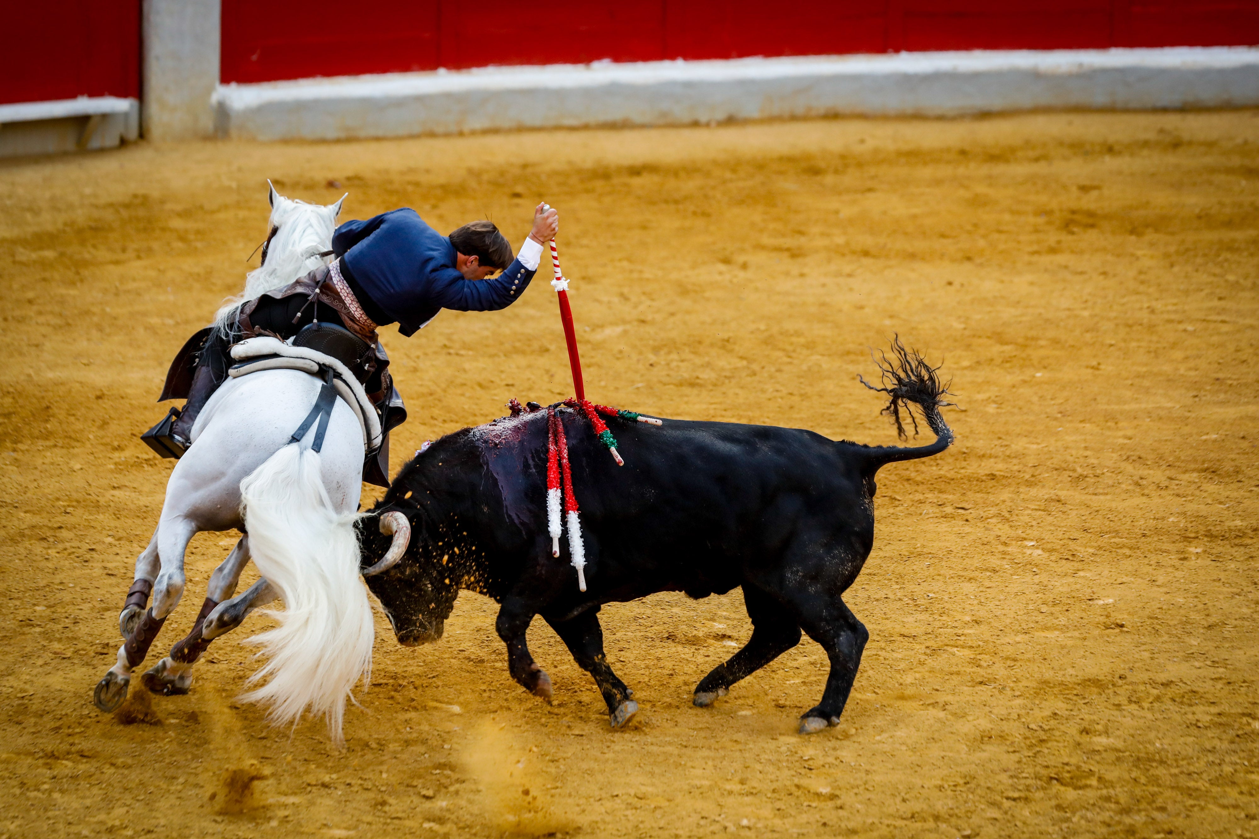 Sebastián Fernández clava un rejón al primero de sus oponentes.