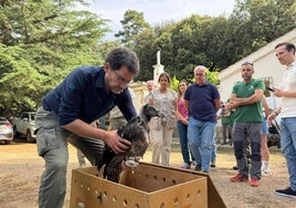 Suelta del quebrantahuesos en presencia de la consejera de Sostenibilidad y Medio Ambiente.