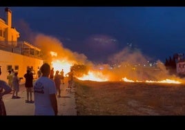 Imagen del incendio registrado este lunes en el término municipal de Peligros.