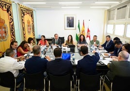 Consejo de Administración de la APA celebrado este jueves.