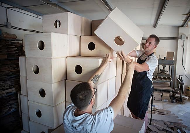 Haciendo acopio de cajones flamencos.