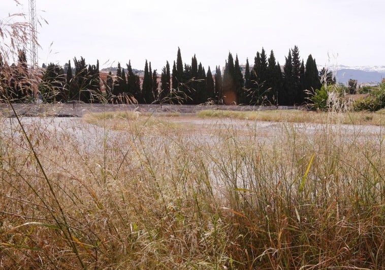 La integración abre la puerta a una profunda transformación de la zona este de Andaluces