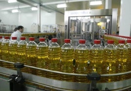 Una fábrica de envasado de aceite en una imagen de archivo.