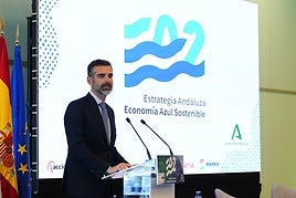 Fernández-Pacheco en la presentación de la estrategia en Cádiz