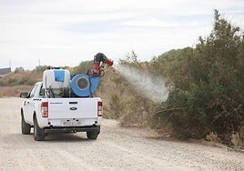 La Diputación asumirá la vigilancia y control del virus del Nilo en 14 municipios jienenses