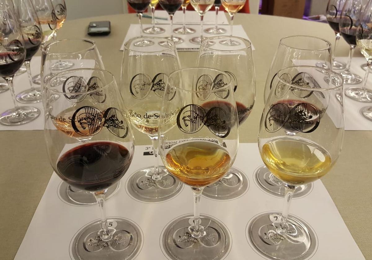Vuelve El Gato de Schrödinger, el concurso de vinos que...