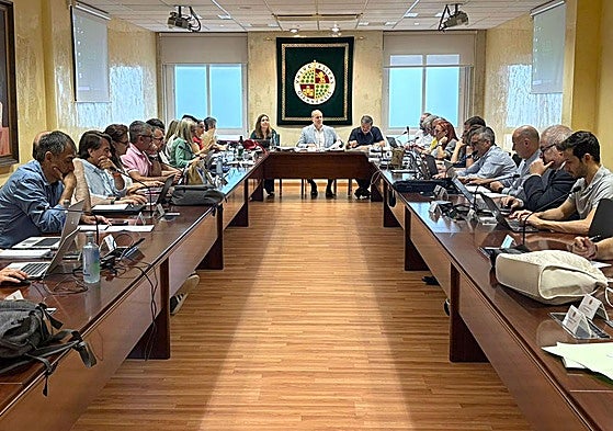 Consejo de gobierno de la Universidad de Jaén.