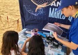 Desarrollo de la campaña a pie de playa de promoción de productos del mar y acuicultura.