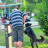 Un perro bebe agua de la fuente ubicada junto al parque infantil.