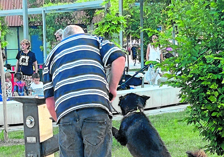 Pero mira cómo beben los perros en la fuente del nuevo parque