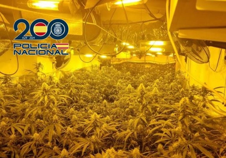 La Policía descubre el gran garaje de la marihuana en Granada: un invernadero sofisticado