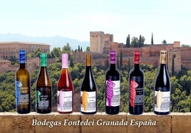 Vinos únicos a más de mil metros de altitud