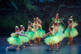 El Festival de Danza Adagio se celebrará mañana, miércoles, en El Ejido, a favor de la Asociación Española contra el Cáncer