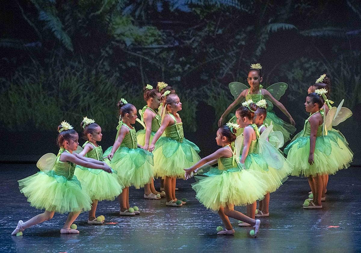 El Festival de Danza Adagio se celebrará mañana, miércoles, en El Ejido, a favor de la Asociación Española contra el Cáncer