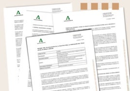 Siete argumentos generales que dejan a Granada sin la titulación de Inteligencia Artificial