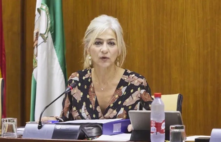 La Junta estudia con «rigor» el impacto del proyecto fotovoltaico del Fargue