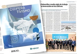 Detalle de la portada sobre las páginas intereriores del especial informativo.