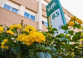 «La UJA no se toca»: sigue la indignación en Jaén por el «veto» al grado de Ingeniería Biomédica