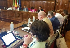 Pleno ordinario de la Diputación de Jaén.