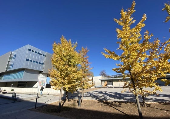 «Incredulidad» de las Universidades Públicas de Andalucía por el rechazo del grado en la UJA