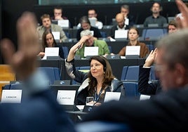 Crespo defiende una PAC con presupuesto propio, sólido y blindaje de ayudas en Europa